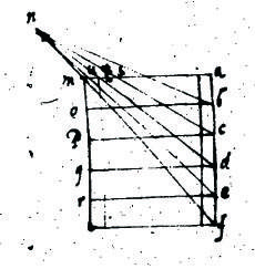 FID44